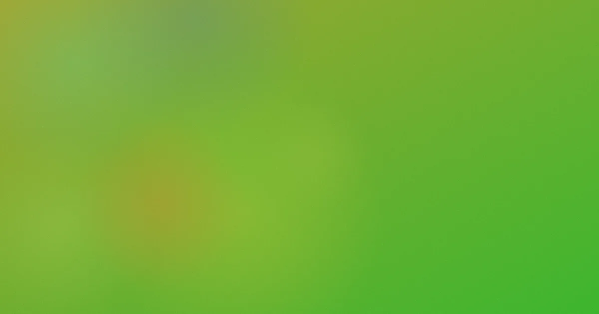 四虎电影院对比：一次选片复盘
